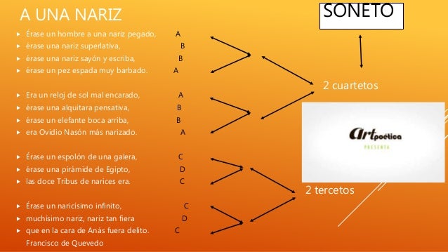 De Qué Trata El Poema A Una Nariz