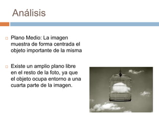 Análisis


Plano Medio: La imagen
muestra de forma centrada el
objeto importante de la misma



Existe un amplio plano libre
en el resto de la foto, ya que
el objeto ocupa entorno a una
cuarta parte de la imagen.

 