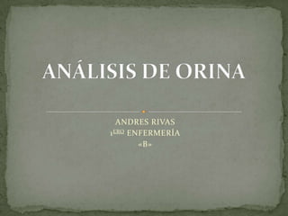 ANDRES RIVAS
1 ERO ENFERMERÍA
«B»

 