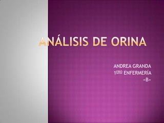 ANDREA GRANDA
1ERO ENFERMERÍA
«B»

 