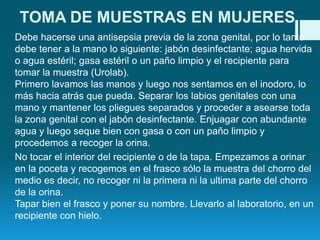 TOMA DE MUESTRAS EN MUJERES
Debe hacerse una antisepsia previa de la zona genital, por lo tanto
debe tener a la mano lo siguiente: jabón desinfectante; agua hervida
o agua estéril; gasa estéril o un paño limpio y el recipiente para
tomar la muestra (Urolab).
Primero lavamos las manos y luego nos sentamos en el inodoro, lo
más hacia atrás que pueda. Separar los labios genitales con una
mano y mantener los pliegues separados y proceder a asearse toda
la zona genital con el jabón desinfectante. Enjuagar con abundante
agua y luego seque bien con gasa o con un paño limpio y
procedemos a recoger la orina.
No tocar el interior del recipiente o de la tapa. Empezamos a orinar
en la poceta y recogemos en el frasco sólo la muestra del chorro del
medio es decir, no recoger ni la primera ni la ultima parte del chorro
de la orina.
Tapar bien el frasco y poner su nombre. Llevarlo al laboratorio, en un
recipiente con hielo.

 