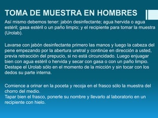 TOMA DE MUESTRA EN HOMBRES
Así mismo debemos tener: jabón desinfectante; agua hervida o agua
estéril; gasa estéril o un paño limpio; y el recipiente para tomar la muestra
(Urolab).

Lavarse con jabón desinfectante primero las manos y luego la cabeza del
pene empezando por la abertura uretral y continúe en dirección a usted,
previa retracción del prepucio, si no está circuncidado. Luego enjuagar
bien con agua estéril o hervida y secar con gasa o con un paño limpio.
Destape el Urolab sólo en el momento de la micción y sin tocar con los
dedos su parte interna.
Comience a orinar en la poceta y recoja en el frasco sólo la muestra del
chorro del medio.
Tapar bien el frasco, ponerle su nombre y llevarlo al laboratorio en un
recipiente con hielo.

 