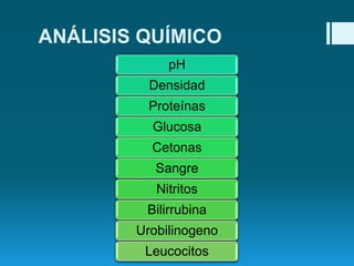 ANÁLISIS QUÍMICO
pH
Densidad
Proteínas

Glucosa
Cetonas
Sangre
Nitritos
Bilirrubina
Urobilinogeno
Leucocitos

 