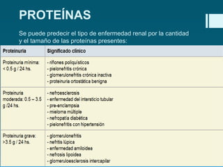 PROTEÍNAS
Se puede predecir el tipo de enfermedad renal por la cantidad
y el tamaño de las proteínas presentes:

 