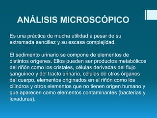 ANÁLISIS MICROSCÓPICO
Es una práctica de mucha utilidad a pesar de su
extremada sencillez y su escasa complejidad.
El sedimento urinario se compone de elementos de
distintos orígenes. Ellos pueden ser productos metabólicos
del riñón como los cristales, células derivadas del flujo
sanguíneo y del tracto urinario, células de otros órganos
del cuerpo, elementos originados en el riñón como los
cilindros y otros elementos que no tienen origen humano y
que aparecen como elementos contaminantes (bacterias y
levaduras).

 