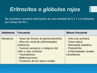 Eritrocitos o glóbulos rojos
Se considera normal la eliminación de una cantidad de 0 a 1 o 2 eritrocitos
por campo de 40 x.

 