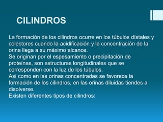 CILINDROS
La formación de los cilindros ocurre en los túbulos dístales y
colectores cuando la acidificación y la concentración de la
orina llega a su máximo alcance.
Se originan por el espesamiento o precipitación de
proteínas, son estructuras longitudinales que se
corresponden con la luz de los túbulos.
Así como en las orinas concentradas se favorece la
formación de los cilindros, en las orinas diluidas tiendes a
disolverse.
Existen diferentes tipos de cilindros:

 