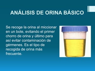 ANÁLISIS DE ORINA BÁSICO
Se recoge la orina al miccionar
en un bote, evitando el primer
chorro de orina y último para
así evitar contaminación de
gérmenes. Es el tipo de
recogida de orina más
frecuente.

 