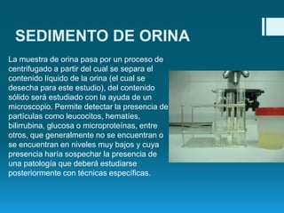 SEDIMENTO DE ORINA
La muestra de orina pasa por un proceso de
centrifugado a partir del cual se separa el
contenido líquido de la orina (el cual se
desecha para este estudio), del contenido
sólido será estudiado con la ayuda de un
microscopio. Permite detectar la presencia de
partículas como leucocitos, hematíes,
bilirrubina, glucosa o microproteínas, entre
otros, que generalmente no se encuentran o
se encuentran en niveles muy bajos y cuya
presencia haría sospechar la presencia de
una patología que deberá estudiarse
posteriormente con técnicas específicas.

 