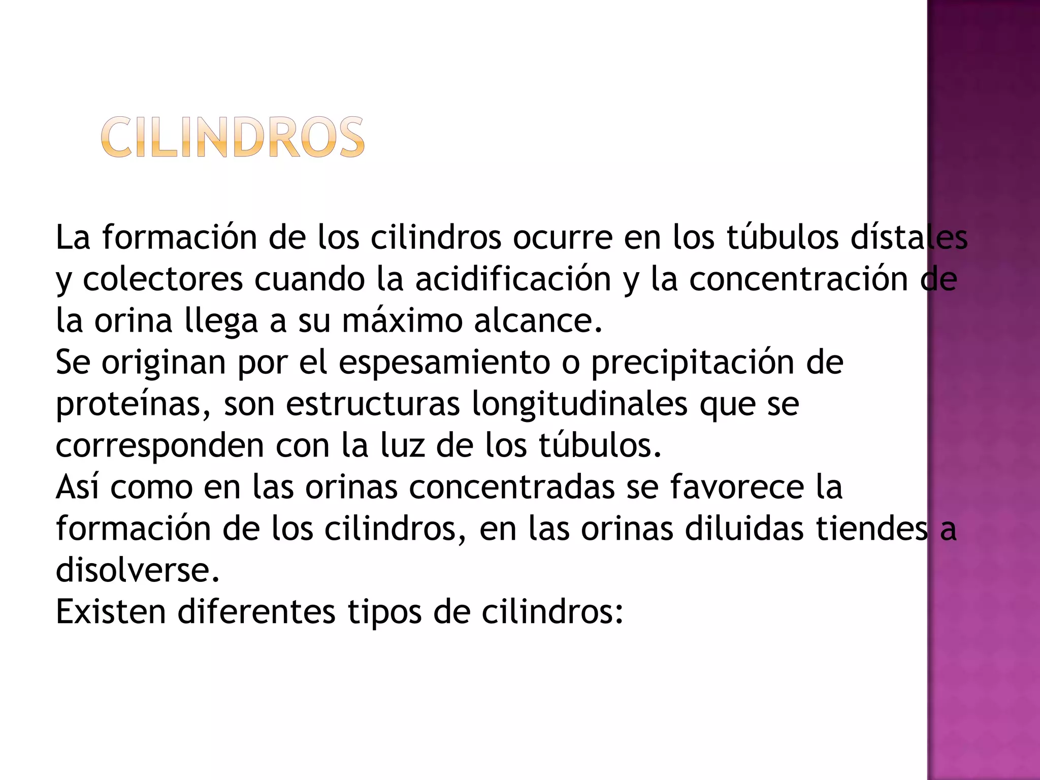 La formación de los cilindros ocurre en los túbulos dístales
y colectores cuando la acidificación y la concentración de
la orina llega a su máximo alcance.
Se originan por el espesamiento o precipitación de
proteínas, son estructuras longitudinales que se
corresponden con la luz de los túbulos.
Así como en las orinas concentradas se favorece la
formación de los cilindros, en las orinas diluidas tiendes a
disolverse.
Existen diferentes tipos de cilindros:

 