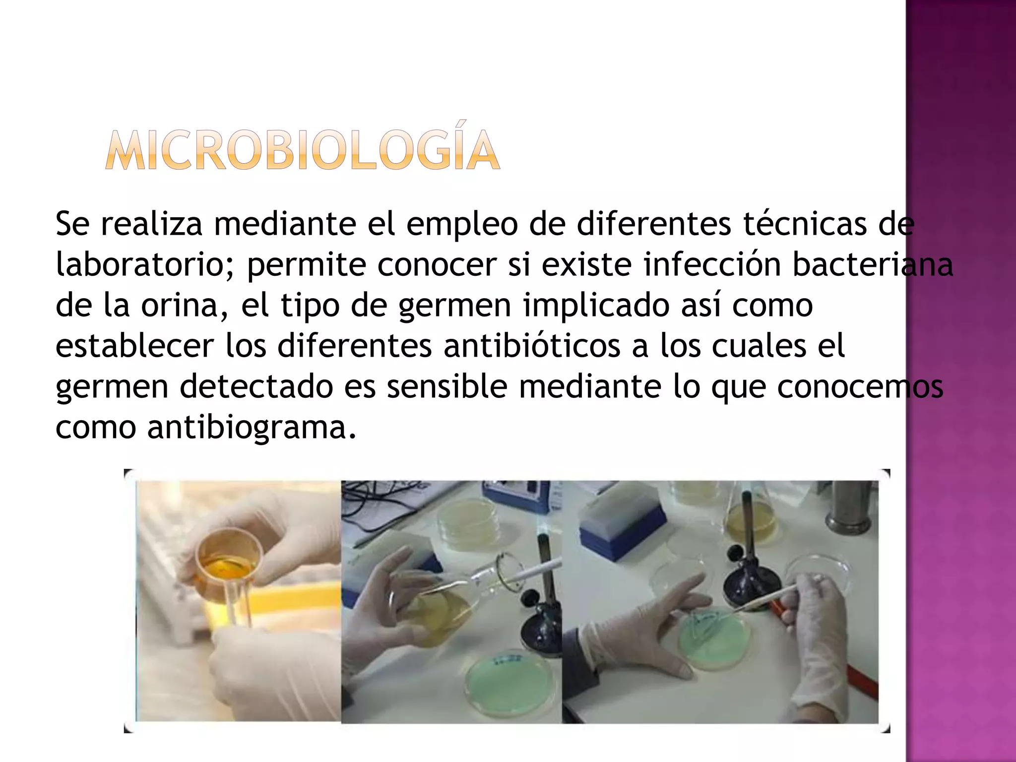 Se realiza mediante el empleo de diferentes técnicas de
laboratorio; permite conocer si existe infección bacteriana
de la orina, el tipo de germen implicado así como
establecer los diferentes antibióticos a los cuales el
germen detectado es sensible mediante lo que conocemos
como antibiograma.

 