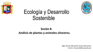 Ecología y Desarrollo
Sostenible
Sesión 8.
Análisis de plantas y animales silvestres.
Blga. Norma Mercedes Huanca Barrantes
Correo: nhuancab@unap.edu.pe
 