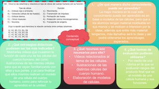 1. ¿De qué manera dicho conocimiento
puede ser aprendido?
La mejor manera en la cual este
conocimiento puede ser aprendido es en
base a modelos de las células, para que a
los alumnos tengan material moldeable en
sus manos y se motiven e interesen por la
clase, además que entre más material
tengamos, más llamativa será la clase y así
podrá obtenerse los aprendizajes
esperados.
2. ¿Qué estrategias didácticas
pudiesen ser las más indicadas?
Mostrarles videos que muestren la
función de cada una de las células del
cuerpo humano, así como
ilustraciones de las mismas células
para que se vayan familiarizando con
ellas y sus partes, y ya para finalizar
que ellos mismos realicen un modelo
de una célula del cuerpo
humano, como para reforzar lo
aprendido en la unidad.
4. ¿Qué formas de
evaluación pudieran
utilizarse?
• Por medio de una
rúbrica en la que se
evaluarán rasgos del
producto final que es
el modelo de una
célula humana y sus
funciones.
3.
3. ¿Qué recursos son
necesarios para ello?
• Videos relacionados al
tema de las células.
• Ilustraciones de las
distintas células del
cuerpo humano.
• Elaboración de modelos
de células.
Contenido
conceptual
 