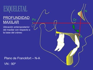 Análisis de ricketts | PPT