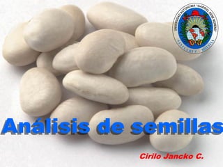 Cirilo Jancko C.
Análisis de semillas
 