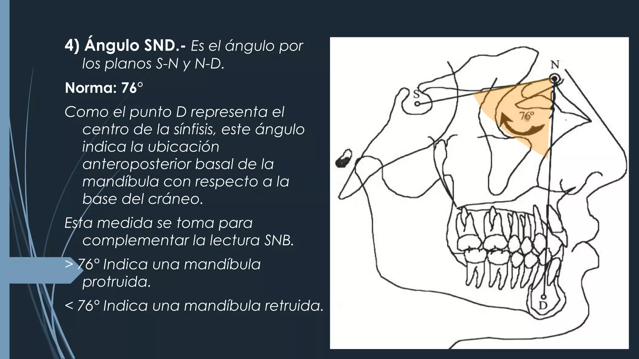 CEFALOMETRÍA DE STEINER | PPT