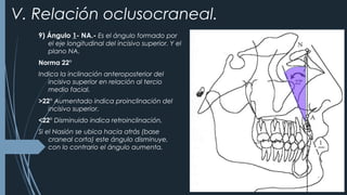 CEFALOMETRÍA DE STEINER | PPT