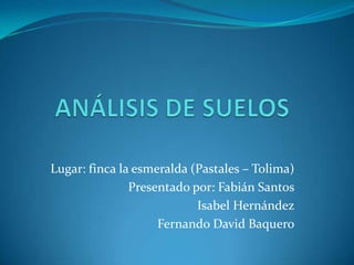 ANÁLISIS DE SUELOS  Lugar: finca la esmeralda (Pastales – Tolima) Presentado por: Fabián Santos 	   Isabel Hernández 	   Fernando David Baquero 