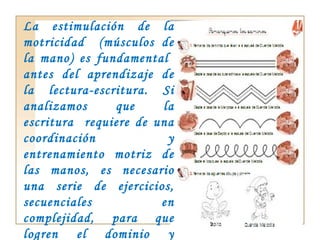 La estimulación de la motricidad  (músculos de la mano) es fundamental  antes del aprendizaje de la lectura-escritura. Si analizamos que la escritura  requiere de una coordinación y entrenamiento motriz de las manos, es necesario una serie de ejercicios, secuenciales en complejidad, para que logren el dominio y destreza de los músculos  finos de dedos y manos. 