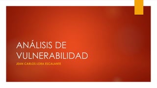 ANÁLISIS DE 
VULNERABILIDAD 
JEAN CARLOS LORA ESCALANTE 
 