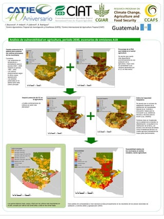 C.Bouroncle1, P. Imbach1, P. Läderach2, B. Rodríguez2
1Centro Agronómico Tropical de Investigación y Enseñanza (CATIE), 2Centro Internacional de Agricultura Tropical (CIAT).
.

Guatemala

Análisis de vulnerabilidad en agricultura, periodo 2030, escenarios de emisiones A1B
Cambio potencial de la
aptitud para sostener
los cultivos principales
de los municipios
Considera:
- Las variaciones en
temperatura y
precipitación para el
periodo 2020 – 2049
respecto al periodo
1960 – 2000
- Los cultivos
predominantes según
el último censo
agropecuario
- Los cambios
potenciales en la
aptitud para cada
cultivo principal

Porcentaje de la PEA
que trabaja en el sector
agricultura
Se asume que cuanto
más dependiente
económicamente es una
población de la
agricultura, mayor será
su sensibilidad a los
cambios generados por
el CC en este sector.

Impacto potencial del CC en
la agricultura

Índice de Capacidad
Adaptativa

¿Cuáles combinaciones de
cultivos se verán más
afectadas?

Se asume que un proceso de
adaptación requiere de la
satisfacción de necesidades
básicas (p.ej. vivienda y
educación), bases para la
innovación (p.ej. asistencia
técnica) y recursos para la
acción (p.ej. créditos).
Factores clave en Guatemala
son la calidad de la vivienda, la
alfabetización, la equidad en la
distribución de la tierra, y el
acceso a los servicios de estado
como la asistencia técnica y el
crédito agrícola (indicadores de
mayor peso discriminante).

Vunerabilidad relativa de
los municipios al cambio
climático, sector agricultura

Los granos básicos (maíz, sorgo y frijol) son los cultivos más importantes en
el país, excepto por café en las zonas altas y caña en las zonas bajas.

Este análisis de vulnerabilidad a nivel nacional se basa principalmente en los resultados de los censos nacionales de
población y vivienda (2002) y agropecuario (2003).

 