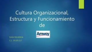 Cultura Organizacional,
Estructura y Funcionamiento
de
IVAN FIGUEROA
C.I.. 19.105.117
 