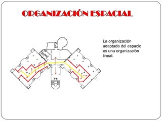 ORGANIZACIÓN ESPACIALLa organización adaptada del espacio es una organización lineal.