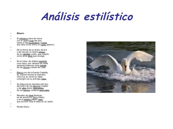 Analisis Estilistico