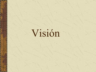 Visión 