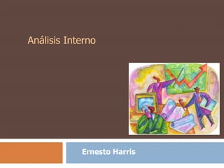 Ernesto Harris
Análisis Interno
 