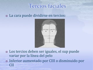 Tercios facialesLa cara puede dividirse en tercios:Los tercios deben ser iguales, el sup puede variar por la línea del peloInferior aumentado por CIII o disminuido por CII