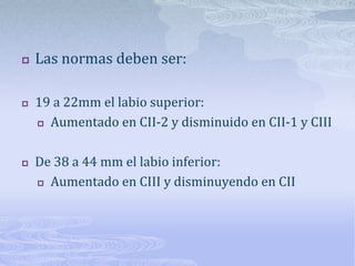 Las normas deben ser:19 a 22mm el labio superior: