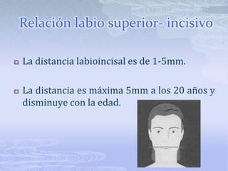 Aumentado en CII-2 y disminuido en CII-1 y CIII