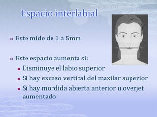 Aumentado en CIII y disminuyendo en CIIRelación labio superior- incisivoLa distancia labioincisal es de 1-5mm.La distancia es máxima 5mm a los 20 años y disminuye con la edad.