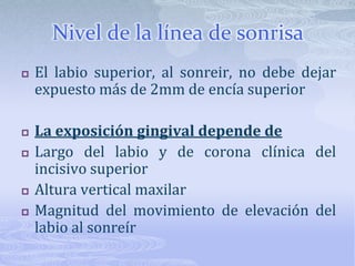 Espacio interlabialEste mide de 1 a 5mmEste espacio aumenta si:Disminuye el labio superiorSi hay exceso vertical del maxilar superiorSi hay mordida abierta anterior u overjet aumentado
