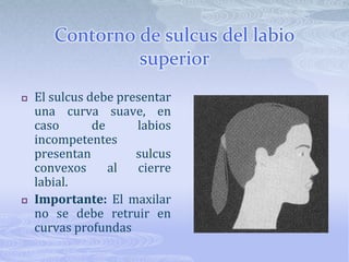 Angulo nasolabialFormado entre el perfil inferior de la nariz y el perfil del labio superior debe medir entre 85 y 105