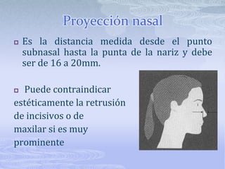 Contorno de pómulos y control nasolabialSe estudia el contorno de los pómulos en ambos planos sagital y frontal.El contorno de los pómulos presenta 4 áreasÁrea del arco cigomáticoÁrea mediaÁrea subpupilarÁrea base nasal- labio supAREAS DEPRIMIDAS EN CIII Y PROTRUÍDOS EN CII