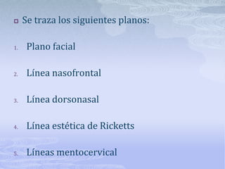 Tipos faciales de Arnett y Begman