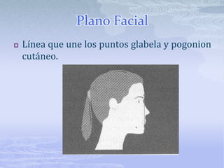Análisis de PowellEl triángulo estético de Powell se puede utilizar para un análisis de perfil tomando en cuenta: FrenteNarizLabiosMentónCuello