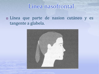 Se traza los siguientes planos:Plano facial Línea nasofrontalLínea dorsonasalLínea estética de RickettsLíneas mentocervical