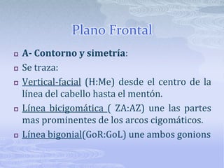 Plano Frontal A- Contorno y simetría:Se traza:Vertical-facial (H:Me) desde el centro de la línea del cabello hasta el mentón.Línea bicigomática( ZA:AZ) une las partes mas prominentes de los arcos cigomáticos.Línea bigonial(GoR:GoL) une ambos gonions