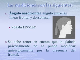 Línea mentocervicalDesde el mentón blando hasta el ángulo del cuello.