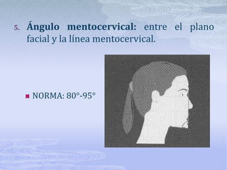 Ángulo nasomentoniano: entre el dorso de la nariz y la línea estética de Ricketts.NORMA: 120°-132°