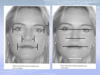 Al dividir la magnitud mayor entre la menor y la división entre la mayor y la menor presentan un ratio de 0.618.Rickettscreó el compás para verificar esta relación en los exámenes faciales.
