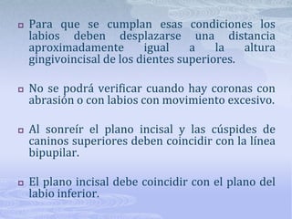 Relación labiodental y labio gingivalCon el labio en reposo y sonriendo dependerá de:Volumen forma y comportamiento de los labios al sonreir.Integridad de los incisivos  (abrasiones o desgastes)