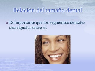 Posición de la papila gingival interincisiva debe quedar alineada con el punto de contacto entre los dos incisivos superiores en una línea perpendicular al plano oclusal y paralela al eje largo facial, para que el px muestre simetría.Inclinación de incisivos, todas las líneas de puntos de contacto deben ser paralelas al eje largo de la cara.
