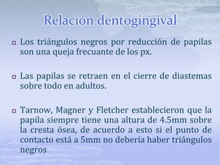 El número de dientes a ambos lados de la línea media es importante para su correcta alineación.
