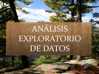 ANÁLISIS
EXPLORATORIO
DE DATOS
 