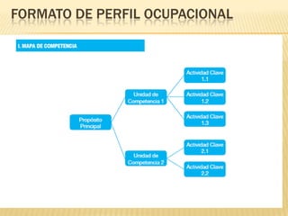 FORMATO DE PERFIL OCUPACIONAL

 