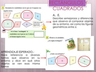 RECTÁNGULOS Y
CUADRADOS
APRENDIZAJE ESPERADO.-
Hace referencia a diversas
formas que observa en su
entorno y dice en qué otros
objetos se ven esas misma
formas
A. E.
Describe semejanzas y diferencias
que observa al comparar objetos
de su entorno, así como las figuras
geométricas entre sí.
 